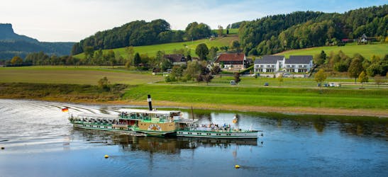 Erlebnistag an der Elbe mit Schifffahrt, Weinwanderung und Weinprobe